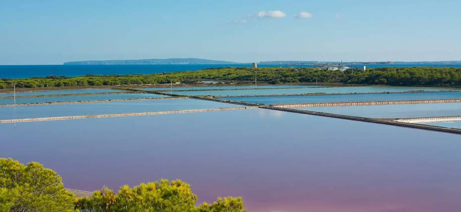 Parco Naturale Ses Salines